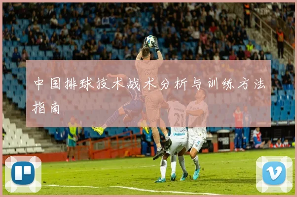 中国排球技术战术分析与训练方法指南